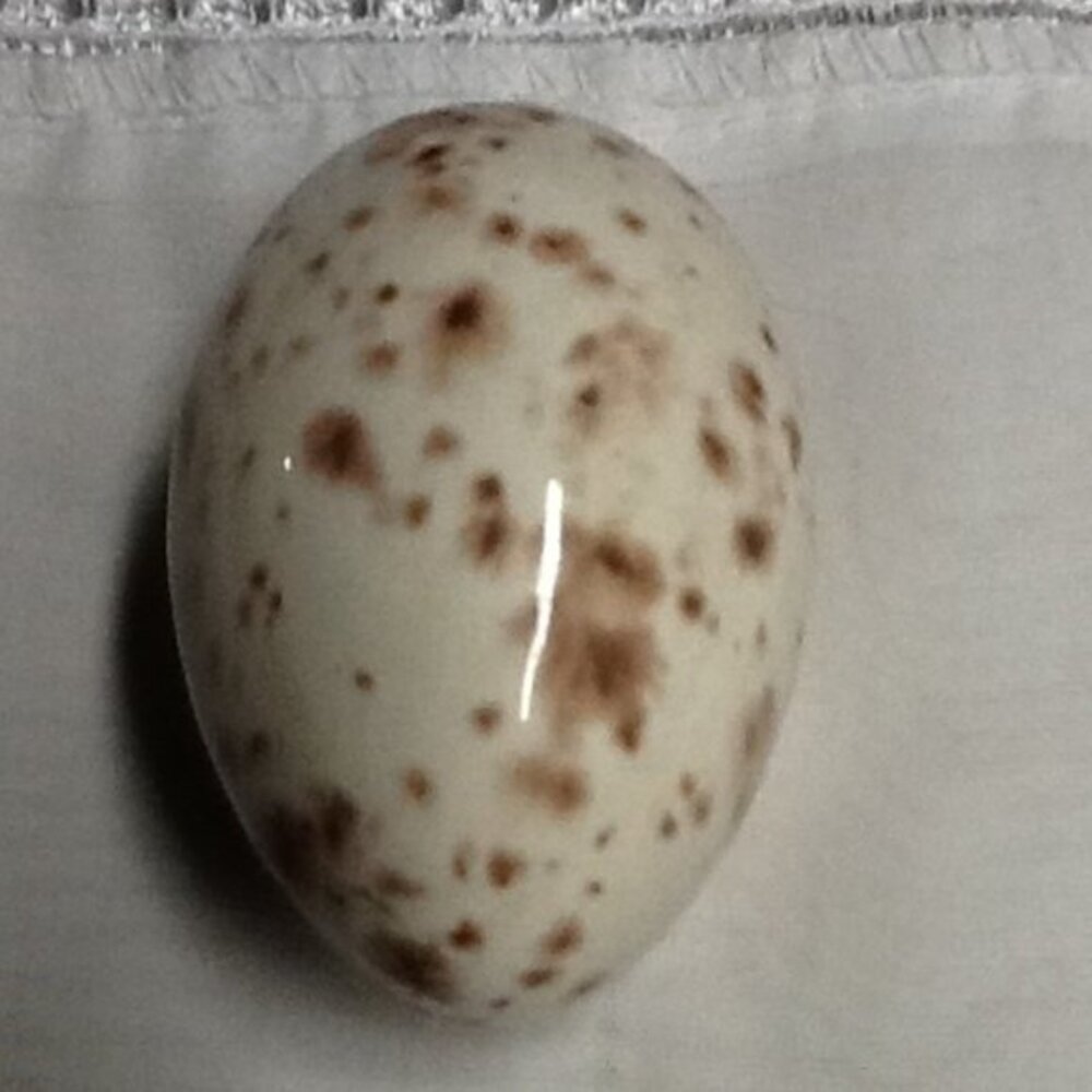 brown and white ceramic egg W 32